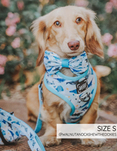 Load image into Gallery viewer, 'Whale, Hello There' Reversible Dog Harness