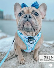 Load image into Gallery viewer, 'Whale, Hello There' Reversible Dog Harness