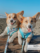 Load image into Gallery viewer, 'Whale, Hello There' Reversible Dog Harness