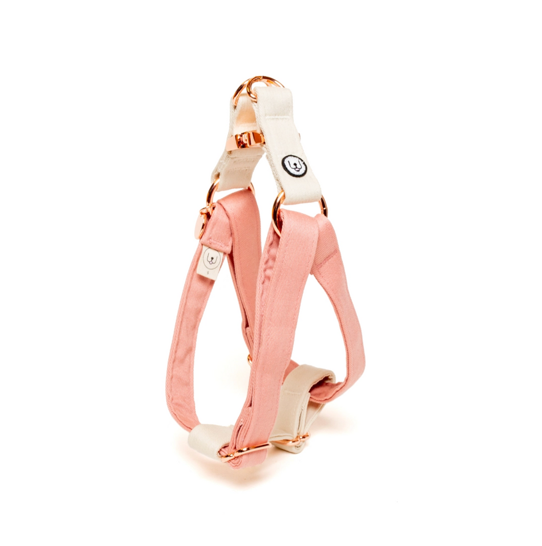 Blossom Ivory Step-In Harness by Eat Play Wag