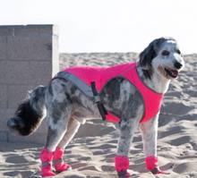 Load image into Gallery viewer, Chill Seeker Cooling Vest