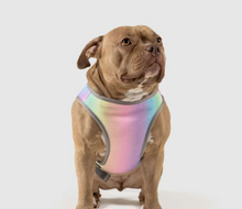 Load image into Gallery viewer, Chill Seeker Cooling Vest