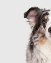 Load image into Gallery viewer, Hot Pavement Boots