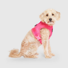 Load image into Gallery viewer, Chill Seeker Cooling Harness