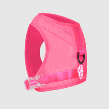 Load image into Gallery viewer, Chill Seeker Cooling Harness