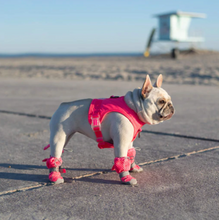 Load image into Gallery viewer, Chill Seeker Cooling Harness