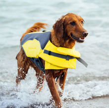 Load image into Gallery viewer, Wave Rider Life Jacket