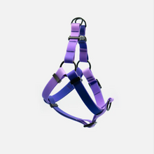 Load image into Gallery viewer, EMPRESS Step-In Waterproof Harness