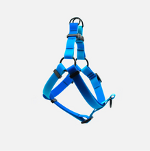 Load image into Gallery viewer, Blue Hawaiian Step-In Waterproof Harness