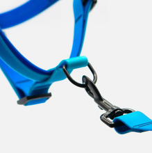 Load image into Gallery viewer, Blue Hawaiian Step-In Waterproof Harness
