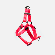 Load image into Gallery viewer, Cosmopolitan Step-In Waterproof Harness