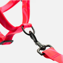 Load image into Gallery viewer, Cosmopolitan Step-In Waterproof Harness