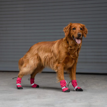 Load image into Gallery viewer, Soft Shield Boots - Pink - by Canada Pooch