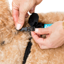 Load image into Gallery viewer, Walkee Paws - *NEW* DELUXE Easy On Boot Leggings