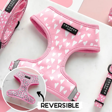 Load image into Gallery viewer, Cupid Reversible Harness