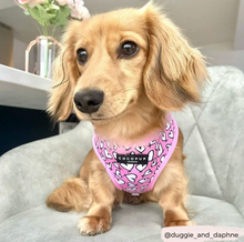 Load image into Gallery viewer, Cupid Reversible Harness