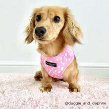 Load image into Gallery viewer, Cupid Reversible Harness