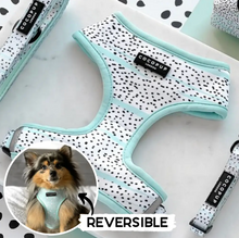 Load image into Gallery viewer, Mint Dalmatian Reversible Harness