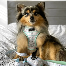 Load image into Gallery viewer, Mint Dalmatian Reversible Harness