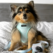 Load image into Gallery viewer, Mint Dalmatian Reversible Harness