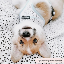 Load image into Gallery viewer, Mint Dalmatian Reversible Harness