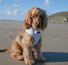 Load image into Gallery viewer, Mint Dalmatian Reversible Harness