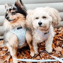 Load image into Gallery viewer, Mint Dalmatian Reversible Harness
