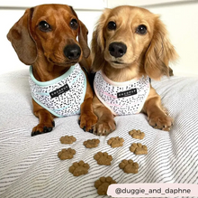Load image into Gallery viewer, Mint Dalmatian Reversible Harness