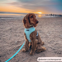 Load image into Gallery viewer, Mint Dalmatian Reversible Harness