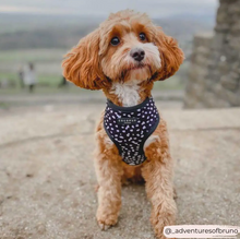 Load image into Gallery viewer, Monochrome Spots Reversible Harness