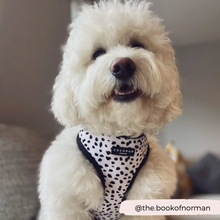 Load image into Gallery viewer, Monochrome Spots Reversible Harness