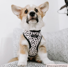Load image into Gallery viewer, Monochrome Spots Reversible Harness