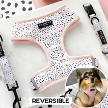 Load image into Gallery viewer, Pink Dalmatian Reversible Harness
