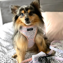 Load image into Gallery viewer, Pink Dalmatian Reversible Harness