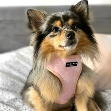 Load image into Gallery viewer, Pink Dalmatian Reversible Harness