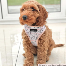 Load image into Gallery viewer, Pink Dalmatian Reversible Harness