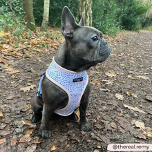 Load image into Gallery viewer, Pink Dalmatian Reversible Harness