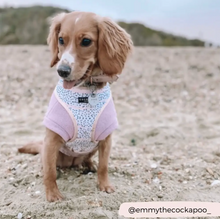 Load image into Gallery viewer, Pink Dalmatian Reversible Harness