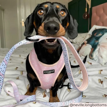 Load image into Gallery viewer, Pink Dalmatian Reversible Harness