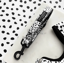 Load image into Gallery viewer, Monochrome Spots Lead