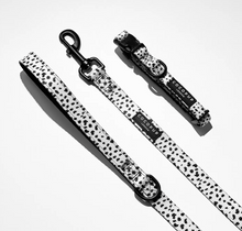 Load image into Gallery viewer, Monochrome Spots Lead