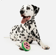 Load image into Gallery viewer, Watermelon Dog Toy - Treat Dispenser