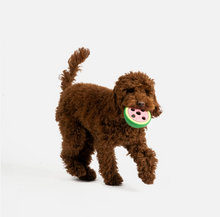 Load image into Gallery viewer, Watermelon Dog Toy - Treat Dispenser