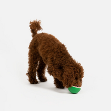 Load image into Gallery viewer, Watermelon Dog Toy - Treat Dispenser