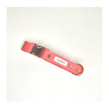 Load image into Gallery viewer, Sorbet Biothane Collar