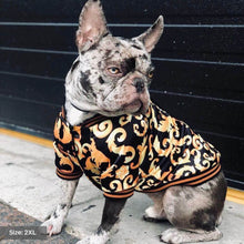 Load image into Gallery viewer, Black & Gold Brocade Dog Bomber Jacket by Spark Paws