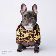 Load image into Gallery viewer, Black & Gold Brocade Dog Bomber Jacket by Spark Paws