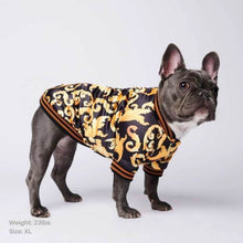 Load image into Gallery viewer, Black & Gold Brocade Dog Bomber Jacket by Spark Paws