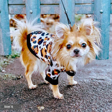 Load image into Gallery viewer, Leopard Dog Bomber Jacket by Spark Paws