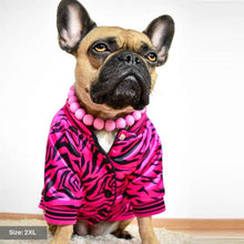 Load image into Gallery viewer, Pink Zebra Dog Bomber Jacket by Spark Paws
